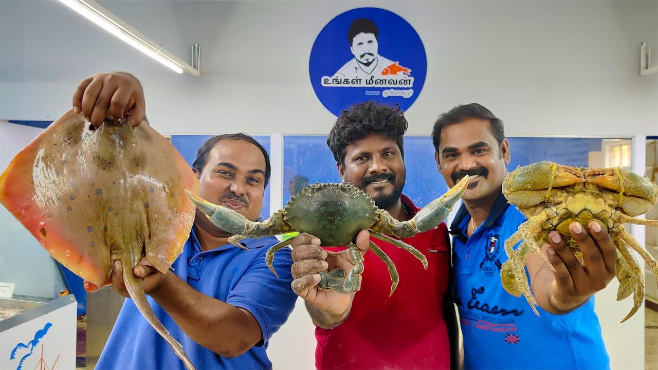 திருப்பூரில் உயிருடன் நண்டா? உங்கள் மீனவன் கடையில் | Ungal Meenavan Fish Shop at Tiruppur | WFT VLOG