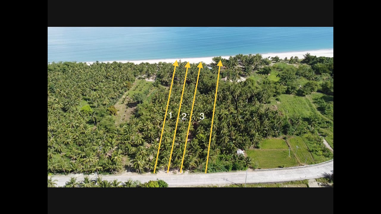 Three Titled Beach Front For Sale Dinalungan Aurora