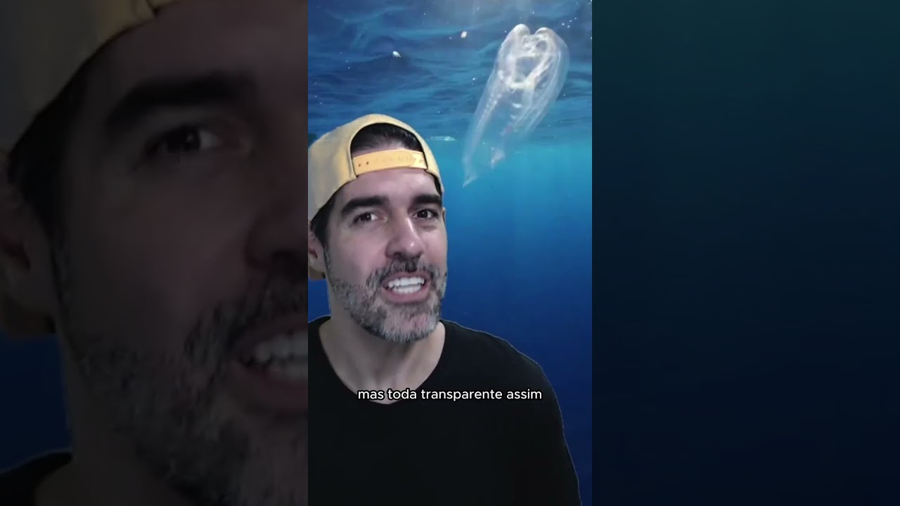 Bicho TRANSPARENTE e ESQUISITO do mar - Salpa | Pidobiologia
