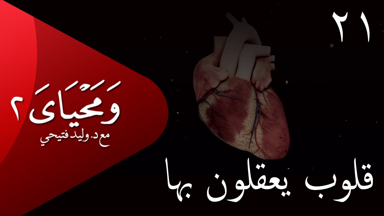 ومحياي 2 مع د.وليد فتيحي | الحلقة 21 | #قلوب_يعقلون_بها | #ومحياي2 @wama7yaya