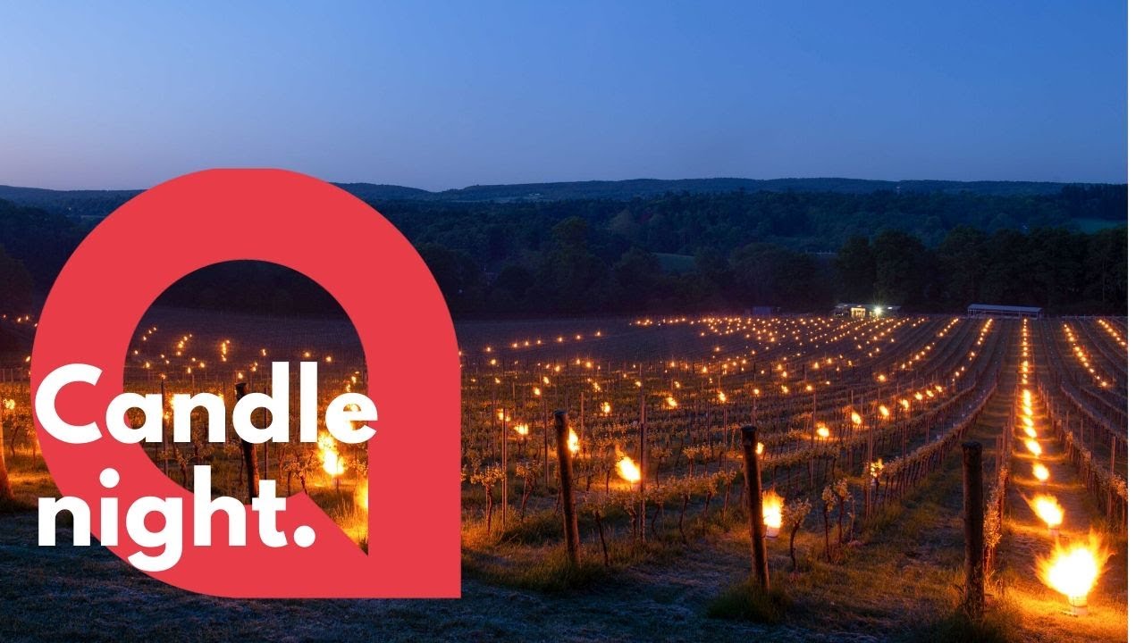 Vineyard blazes with thousands of candles to beat frost | SWNS