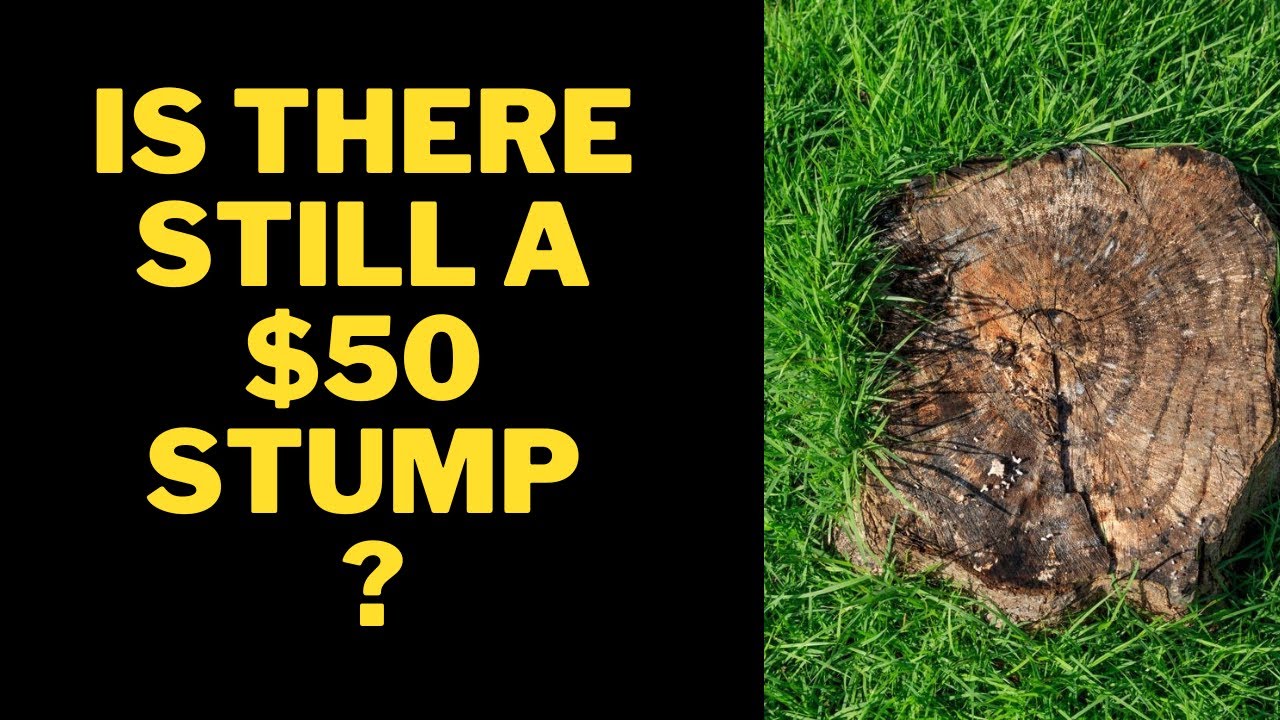Is there still a $50 dollar stump out there
