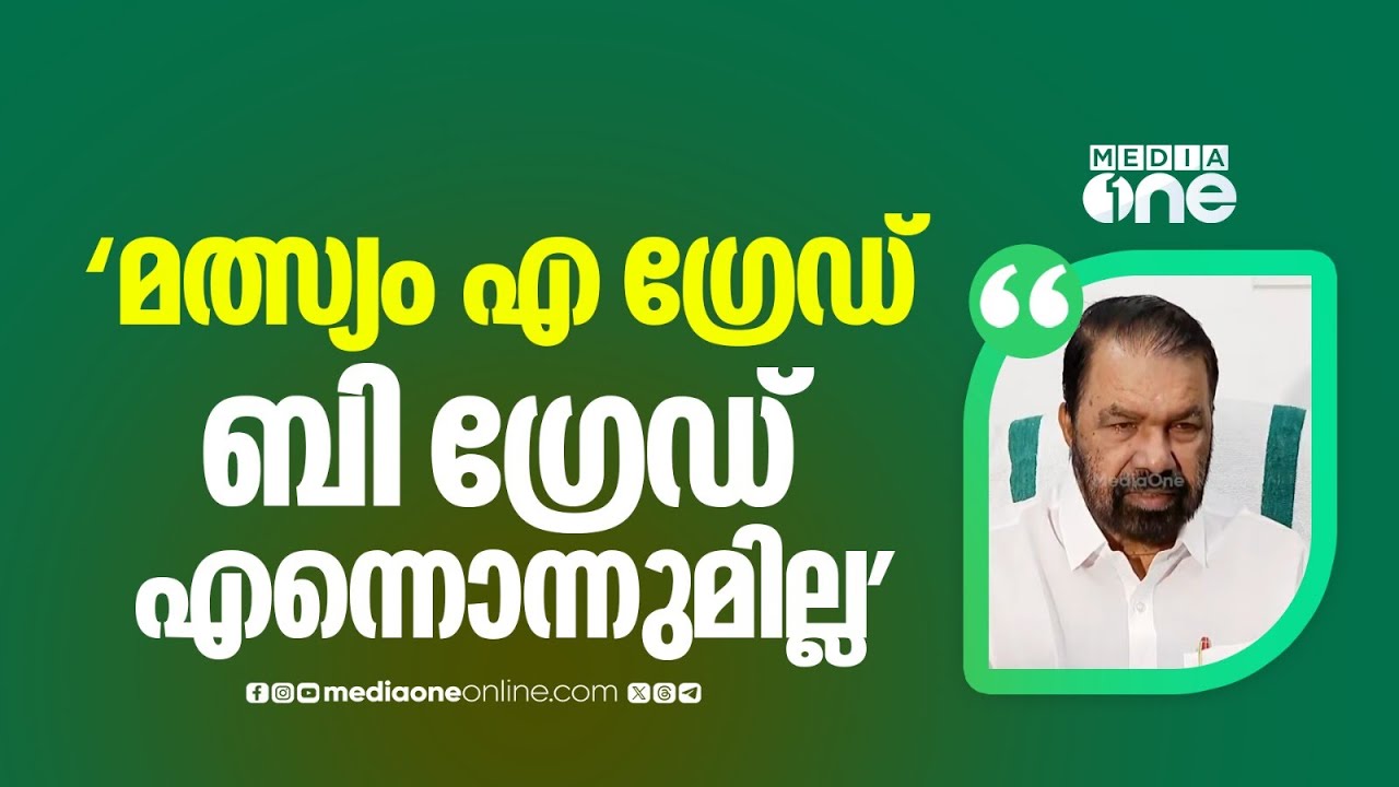 'മത്സ്യം എ ​ഗ്രേഡ്, ബി ​ഗ്രേഡ് എന്നൊന്നുമില്ല... ചിലർ മട്ടൻ കഴിക്കും ചിലർ ചിക്കൻ കഴിക്കും'