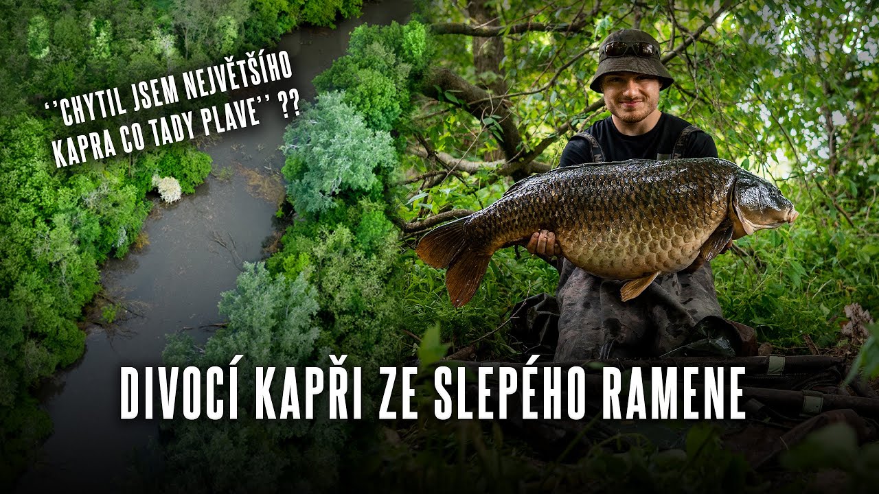SKRYTÝ RÁJ - Lov kaprů na slepém rameni - Vít Ides