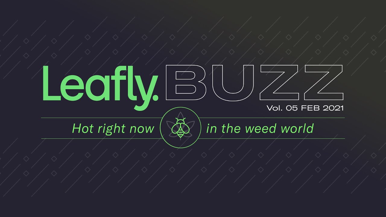 Leafly Buzz Vol. 05 🐝 February 2021 Edition