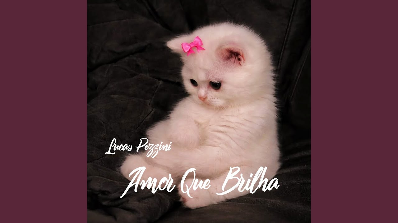 Amor Que Brilha
