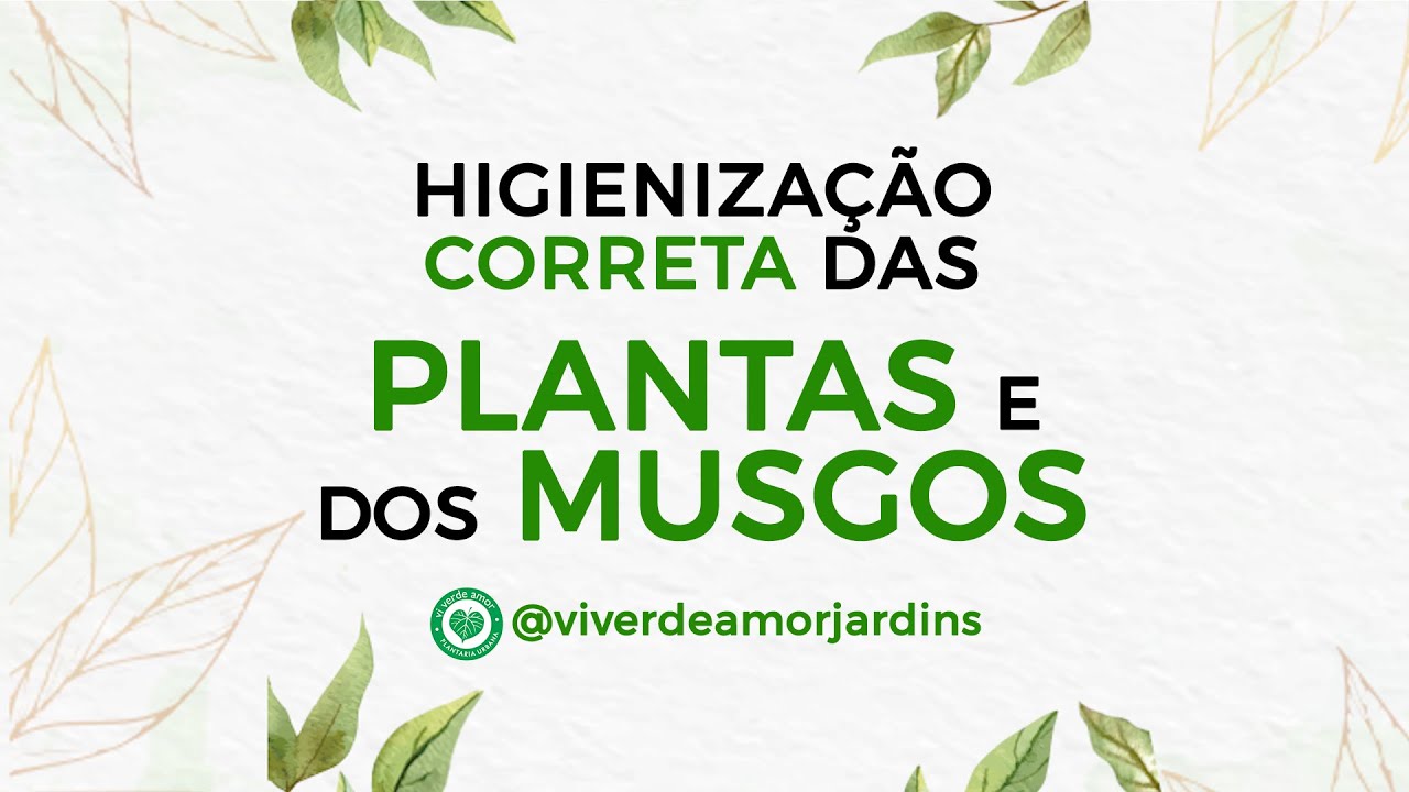 HIGIENIZAÇÃO CORRETA DAS PLANTAS E DOS MUSGOS