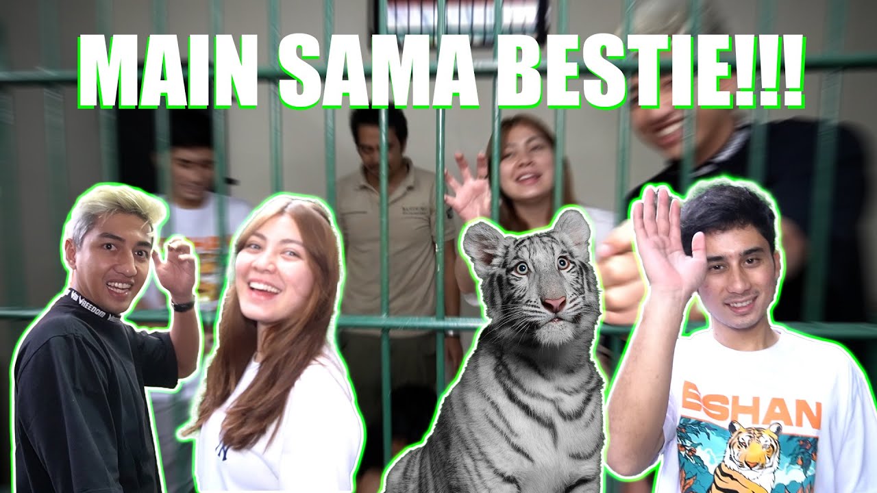 PERNAH RASAIN GA DIGIGIT SAMA HARIMAU PUTIH...???