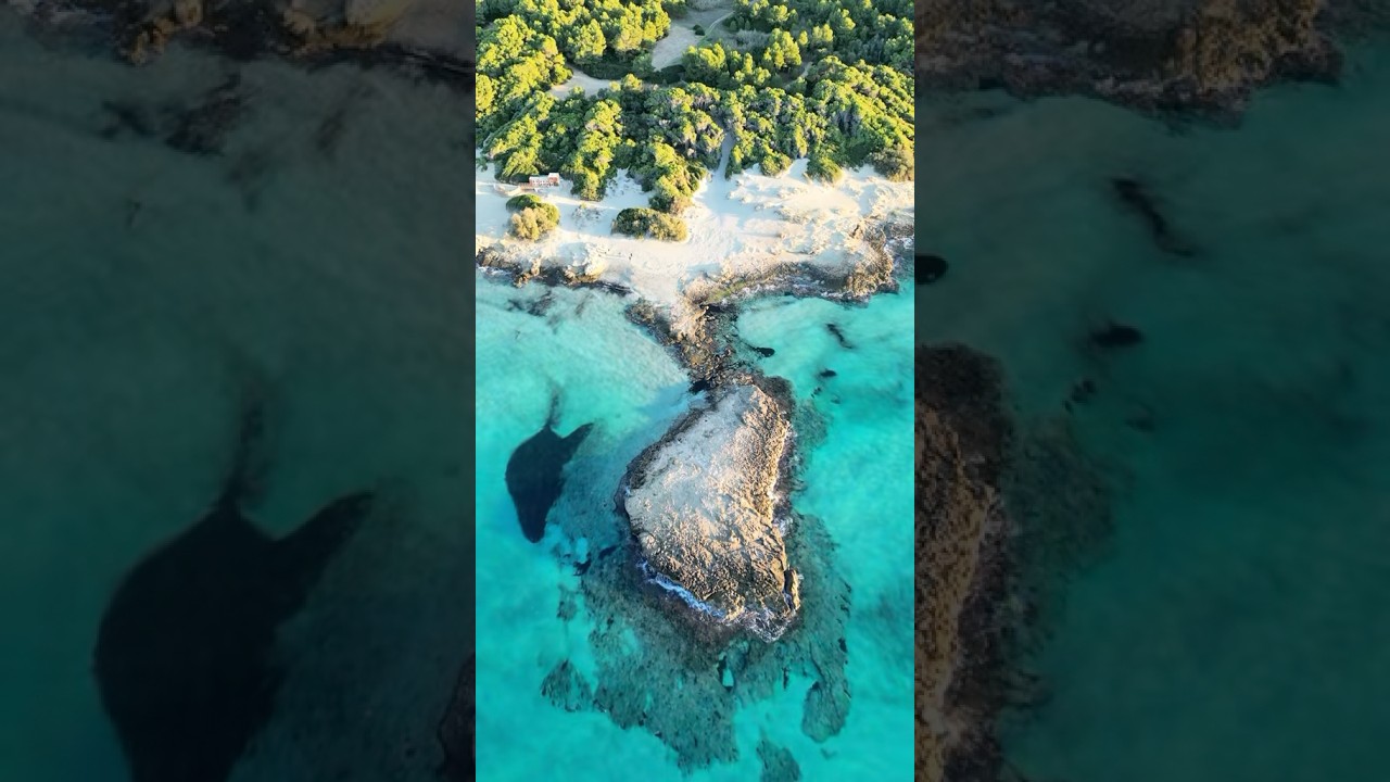 I posti pi&ugrave; naturalistici del Salento #puglia #salentodascoprire #salento #italia #mare