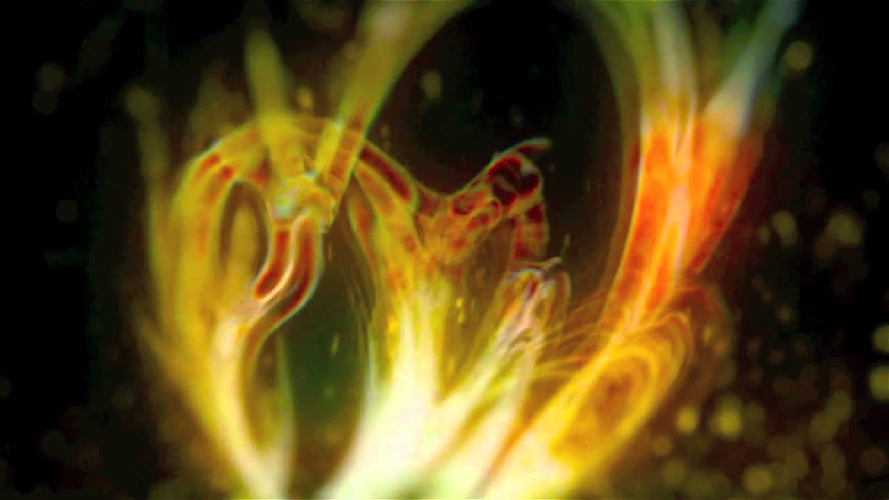 The Transcension Hypothesis