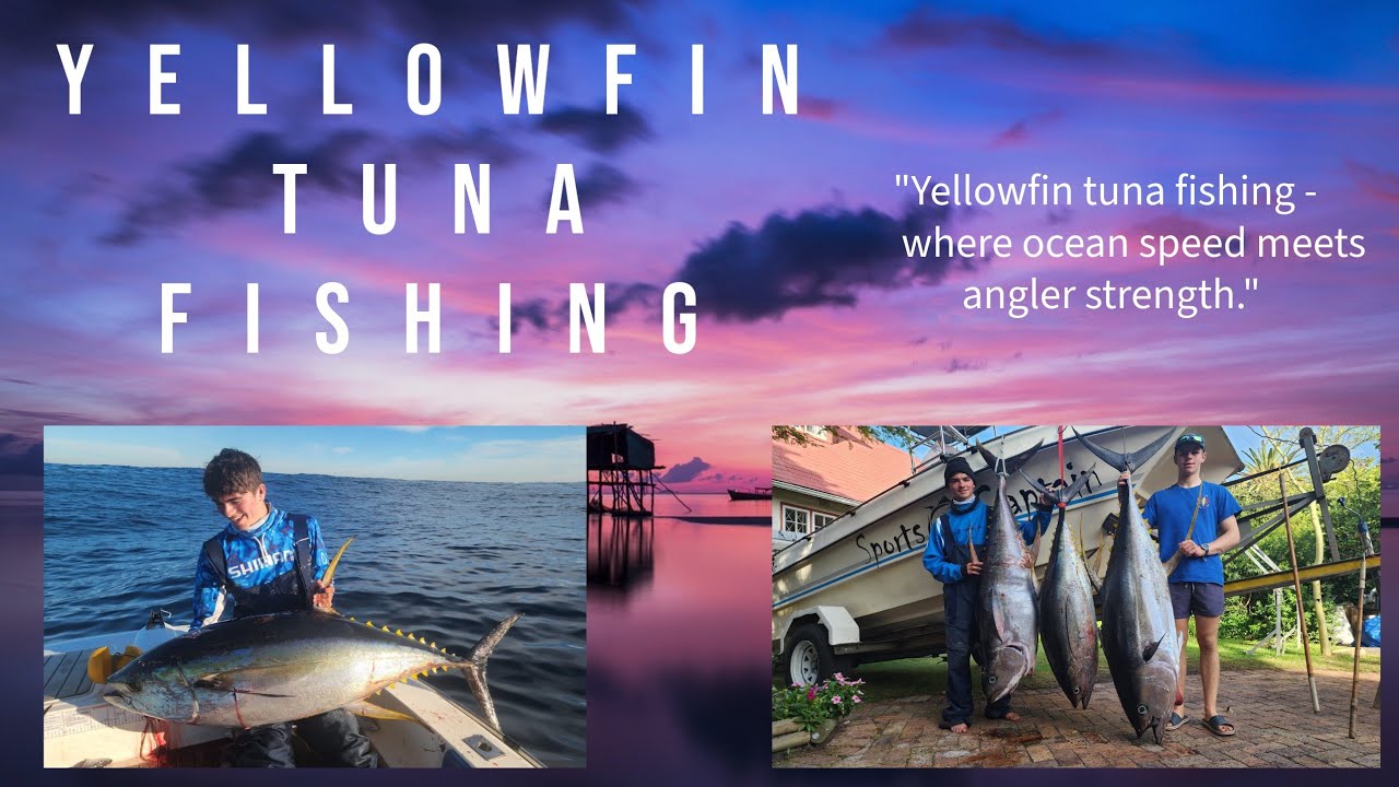 Giants of The Cape: Yellowfin Tuna Fishing Cape Town, South Africa