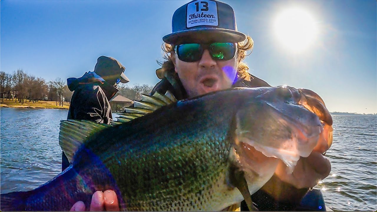 2 30+ Pound Bags | Land of the Giants