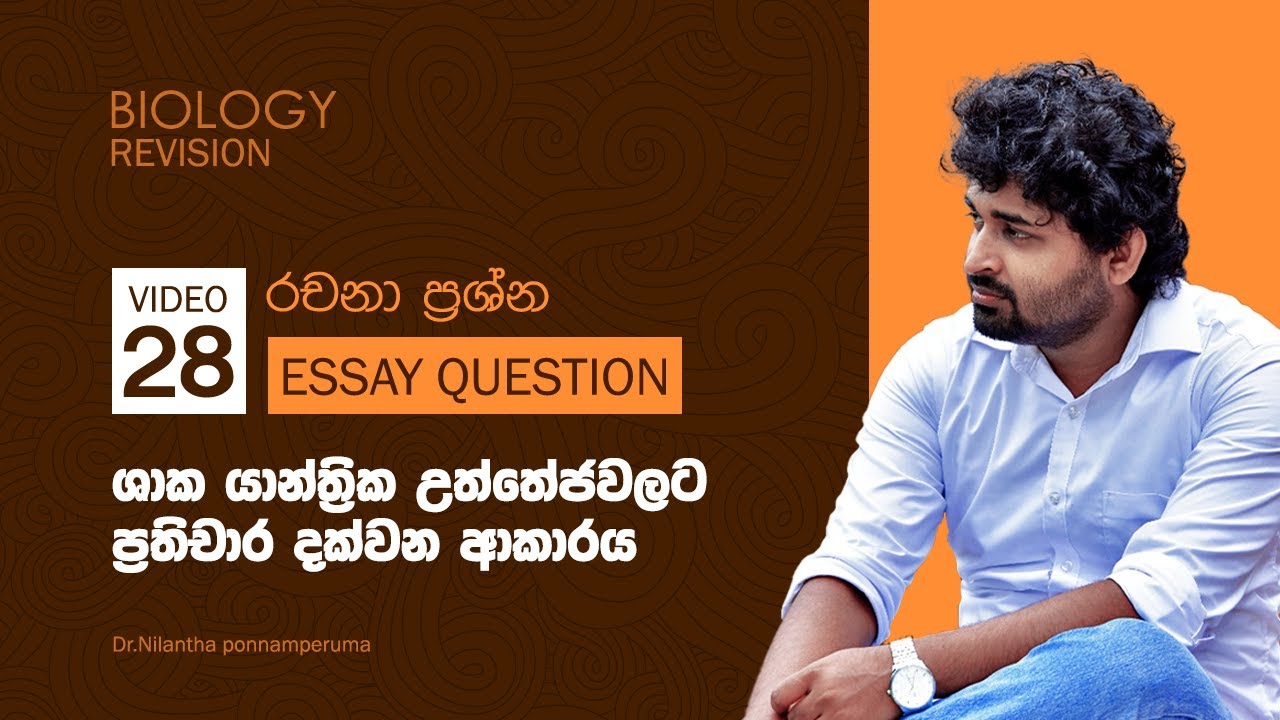 ශාක යාන්ත්‍රික උත්තේජන වලට ප්‍රතිචාර දක්වන ආකාරය | Essay Paper | Biology