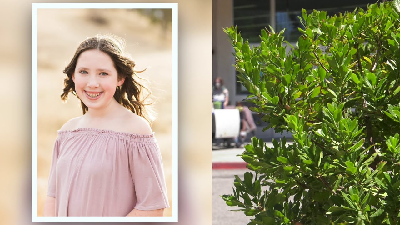 Saugus teens collect donations to build memorial for friends killed in shooting