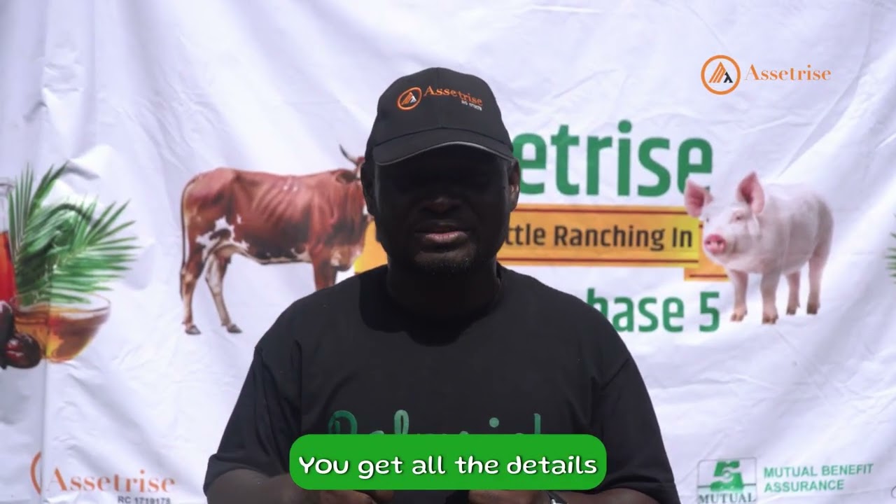 Palmrich Phase 5 Unveils a Fully Structured Ranch | The Future of Ranching in Nigeria