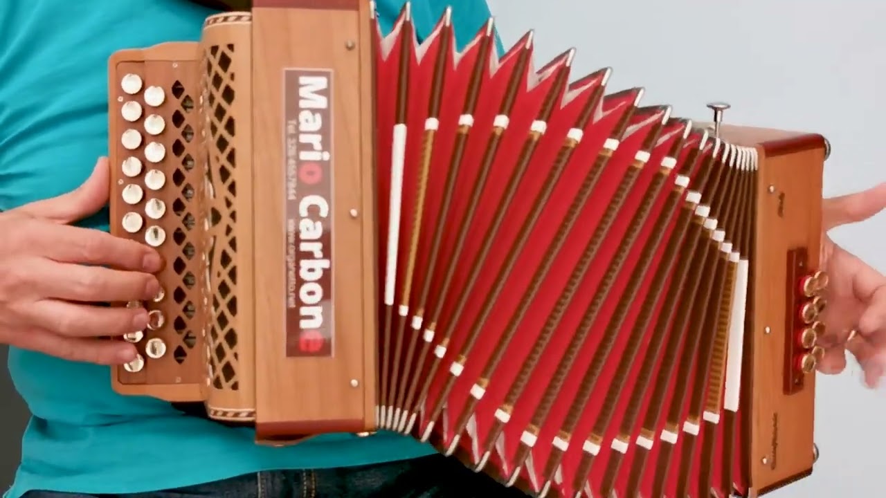 8 Bassi -  FARFALLA - Brano - Accordion diatonic Organetto - Zungri - Cocciolo - Donato