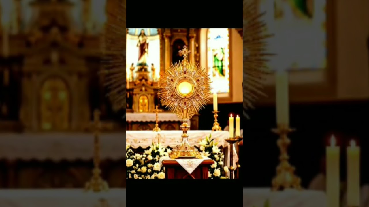 PoderosaOra&ccedil;&atilde;o de Adora&ccedil;&atilde;o ao Sant&iacute;ssimo Sacramento #fe #mensagem #paz #bomdiaamor #gratid&atilde;o