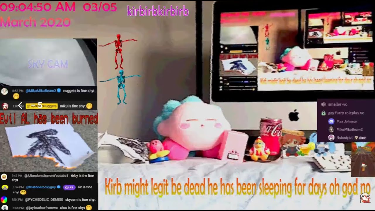 Kirby (lil bro kirb edition)