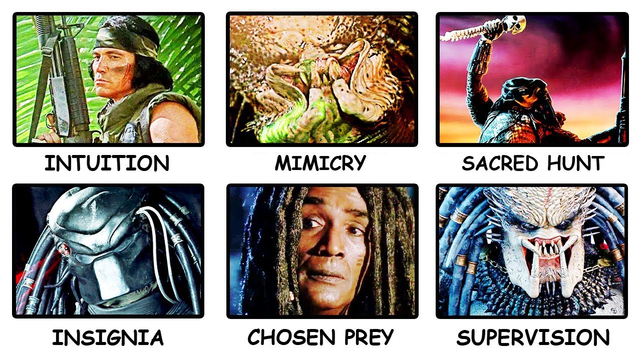 Every PREDATOR Movie Theory Explained in 17 Minutes