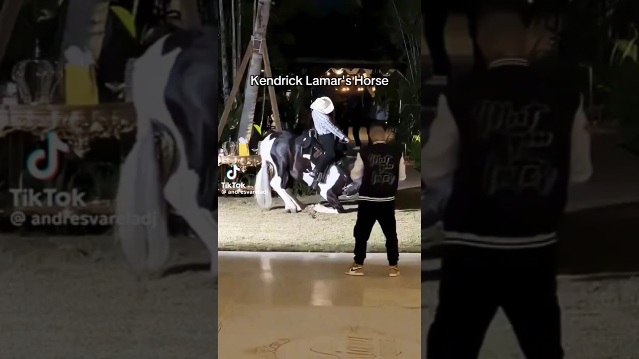 Hip-Hop Horses #kendricklamar #dancing #horses 🐎🐎