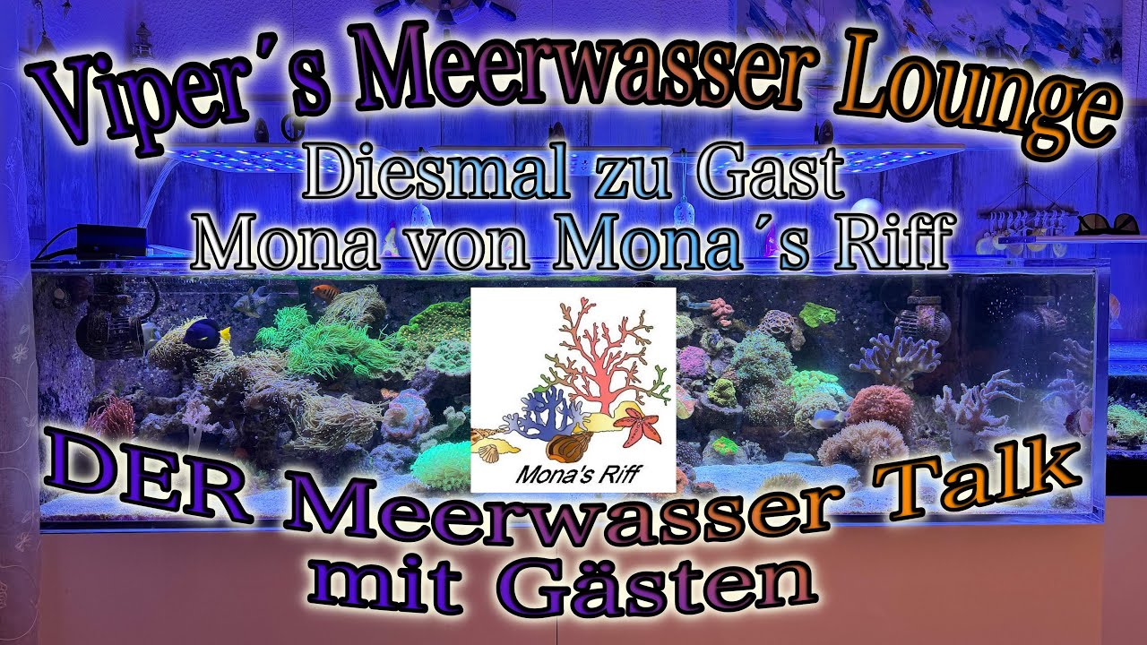 Viper´s Meerwasser Lounge zu Gast  Mona von Mona´s Riff