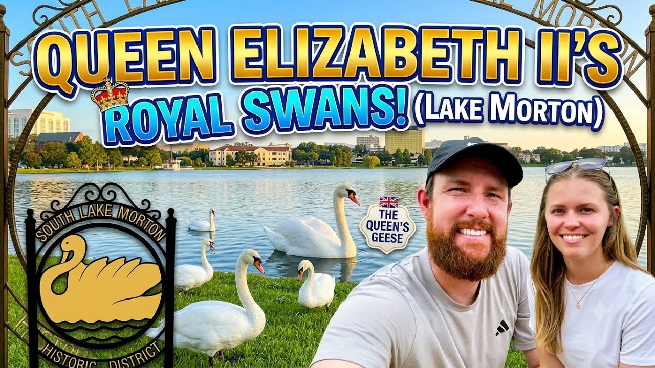 Visiting Lake Morton: Home of Queen Elizabeth&rsquo;s Royal Swans (Lakeland, FL)