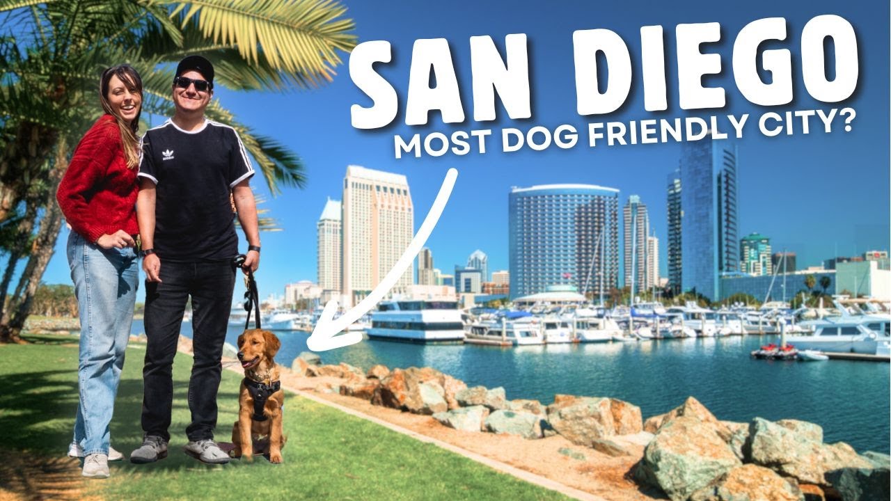A PERFECT WEEKEND IN SAN DIEGO - Things To Do, See, & Eat (Dog friendly!)