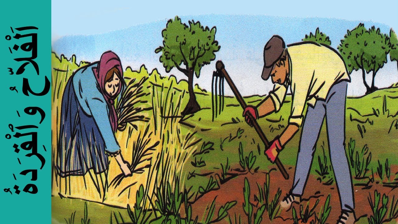الفلاح و القردة - كتابي في اللغة العربية المستوى الثاني - The farmer and the monkeys