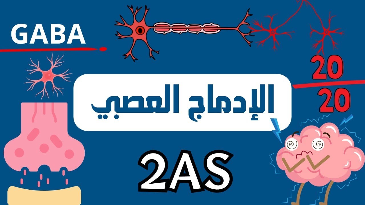 الإدماج العصبي ثانية ثانوي شعبة علوم تجريبية 😎شرح مبسط مفصل+فعم مضمون ✅😎