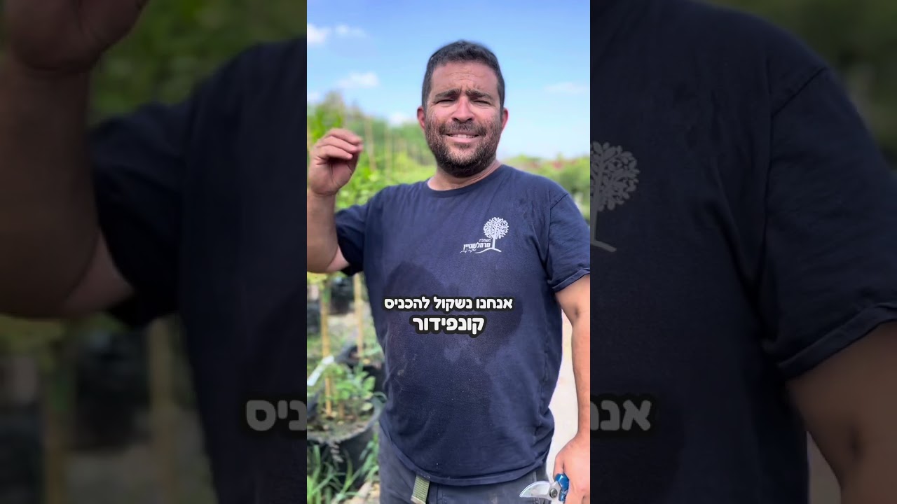 טיפול בעצי הדר בחודשי הקיץ- סרטון מקיף וחובה לכל מי שיש עצי הדר בגינה