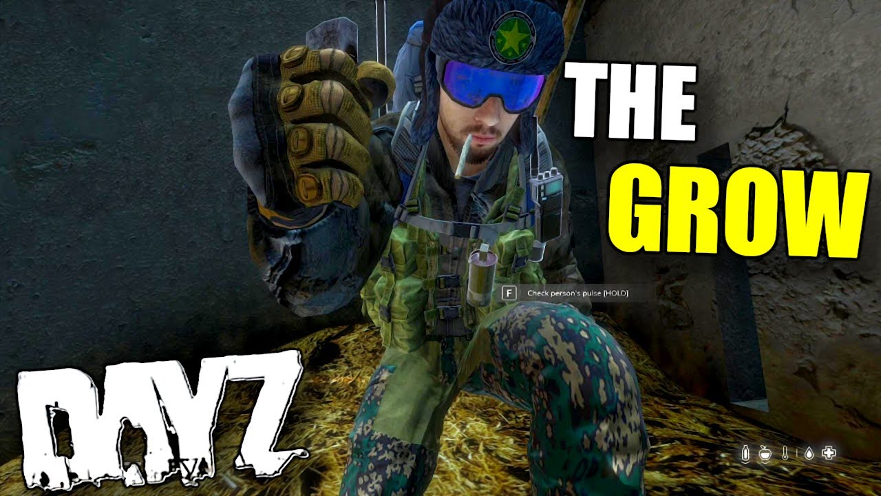 Exploring DayZs Oldest Server and Growing something Special | DayZ Underground