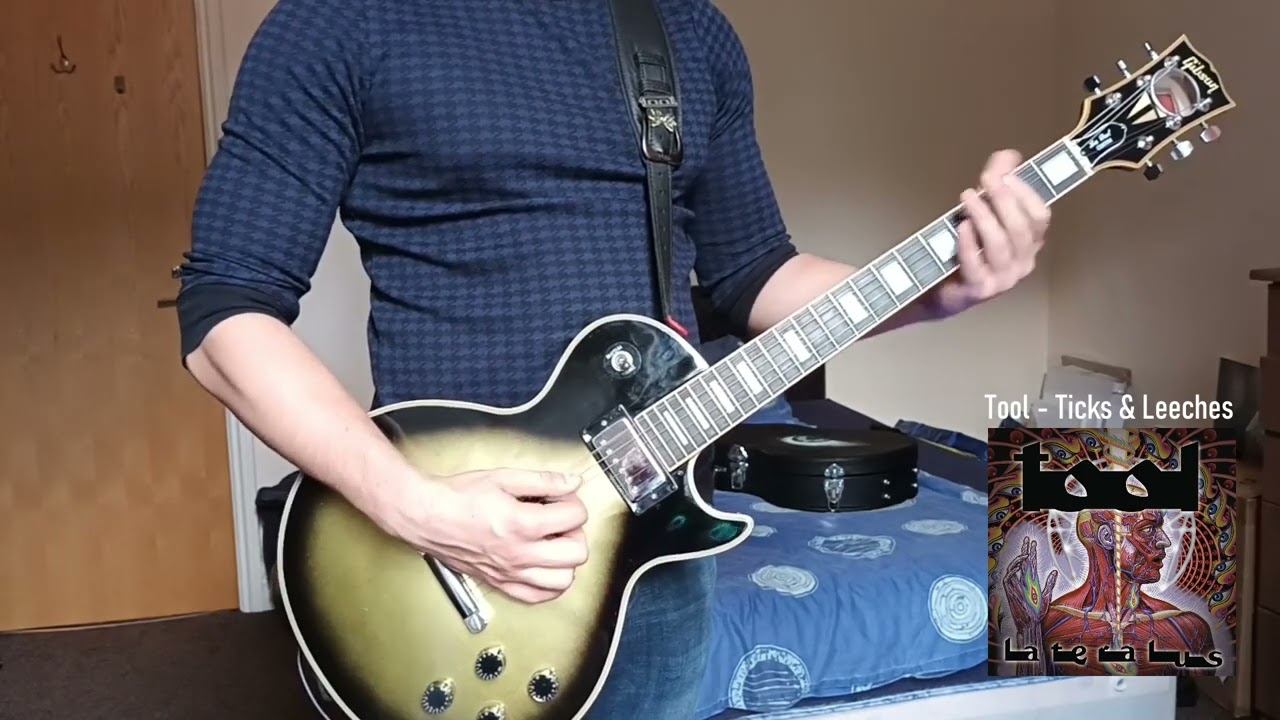Tool - Ticks & Leeches Guitar Cover
