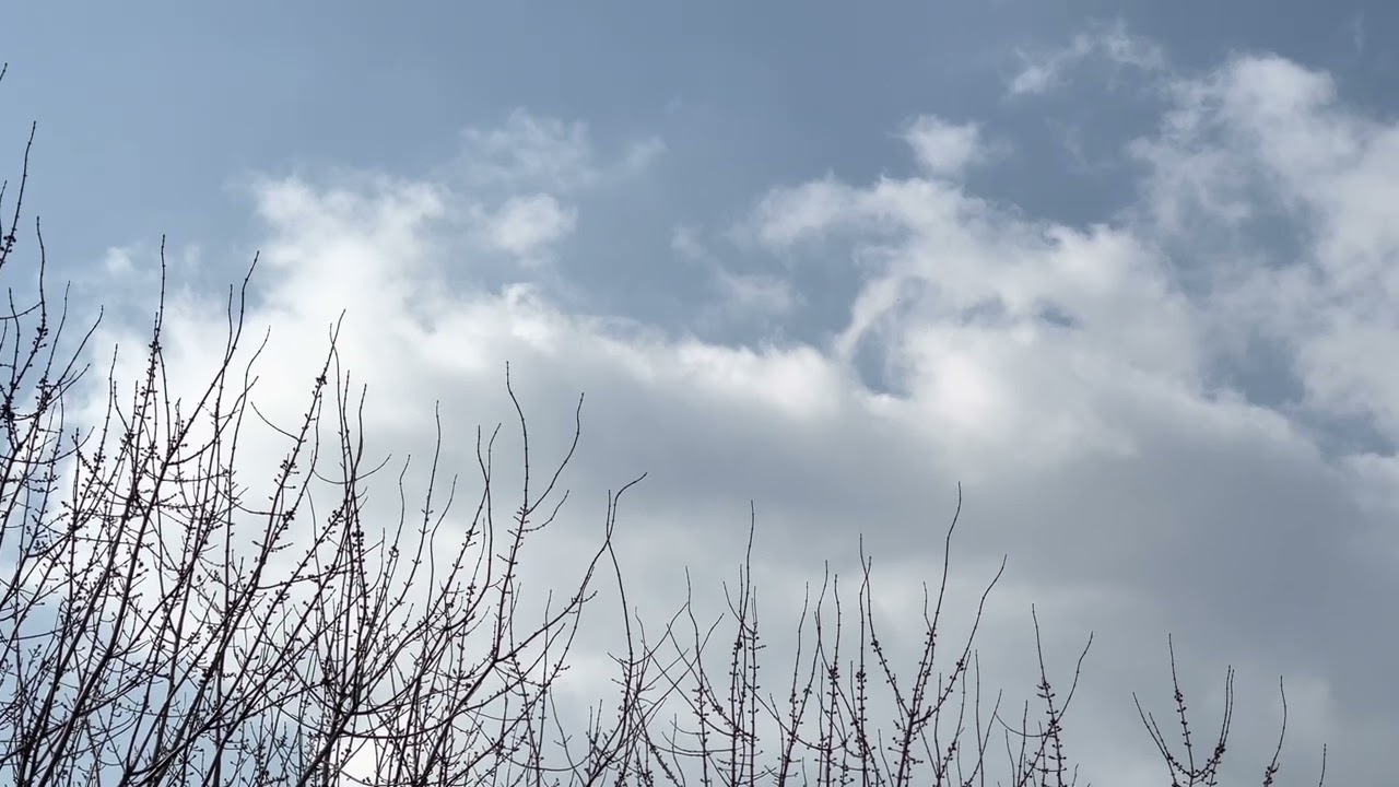 RAF Airbus A400M [ZM409] flyover in the haze with deafening prop noise