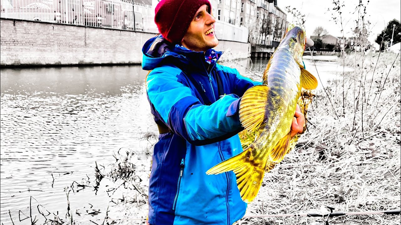 URBAN PIKE FISHING in Lincoln City Centre! 🐊 (4K)