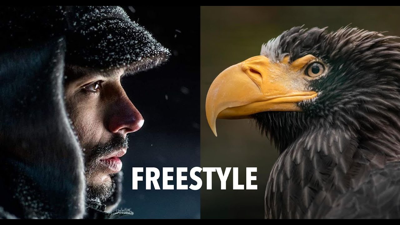 BUSCANDO AS ÁGUIAS DO MAR