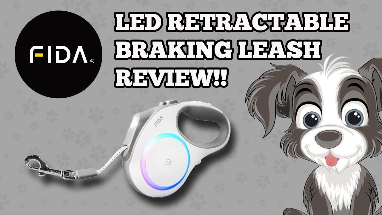 Should You Get The Fida Retractable Lighted Dog Leash For Your Pet? Find Out In This Review!