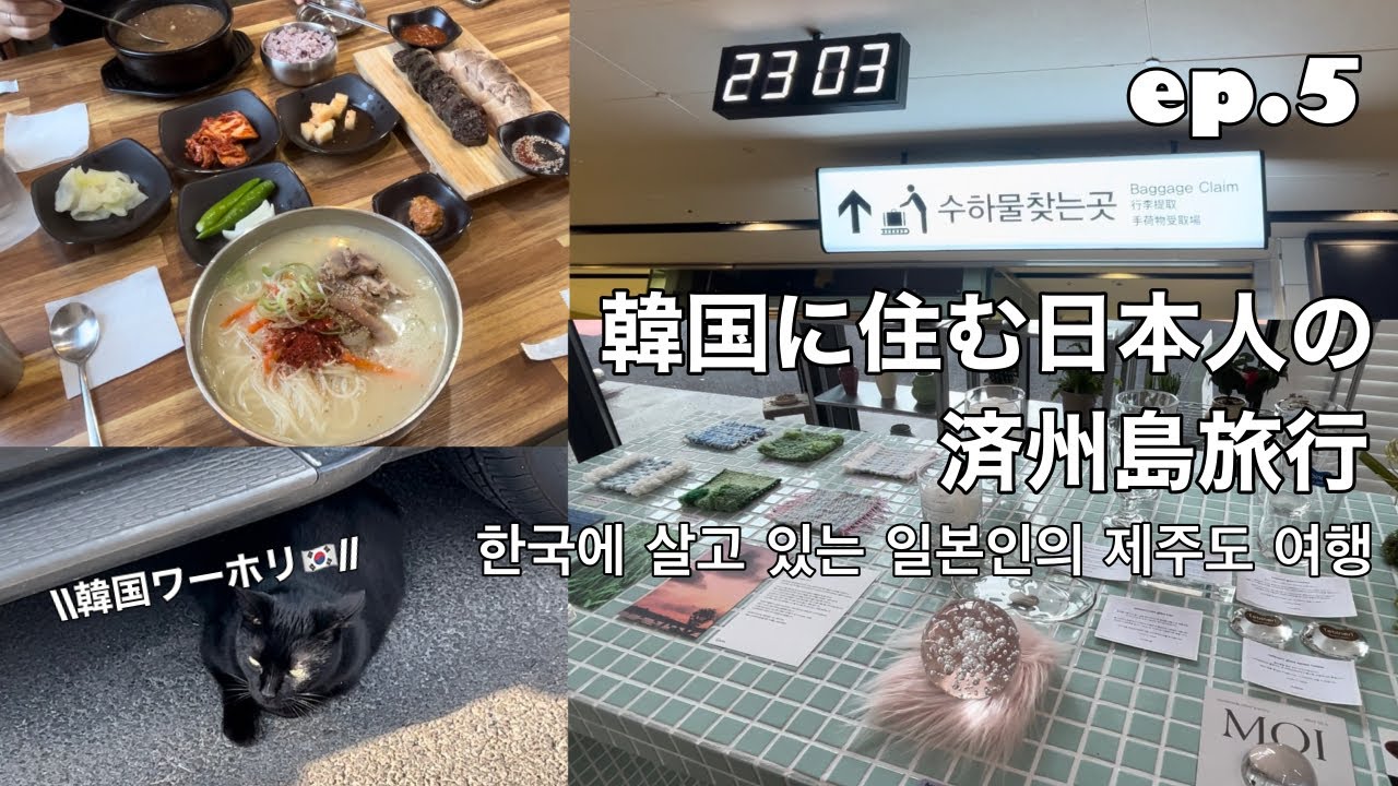 【韓国ワーホリ】韓国に住む日本人の済州島旅行/한국에 살고 있는 일본인의 제주도 여행ep.5