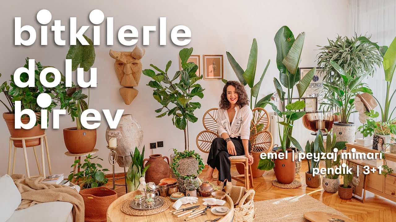 Emel'in 100'den Fazla Bitkiyle Yaşadığı 3+1 Evi