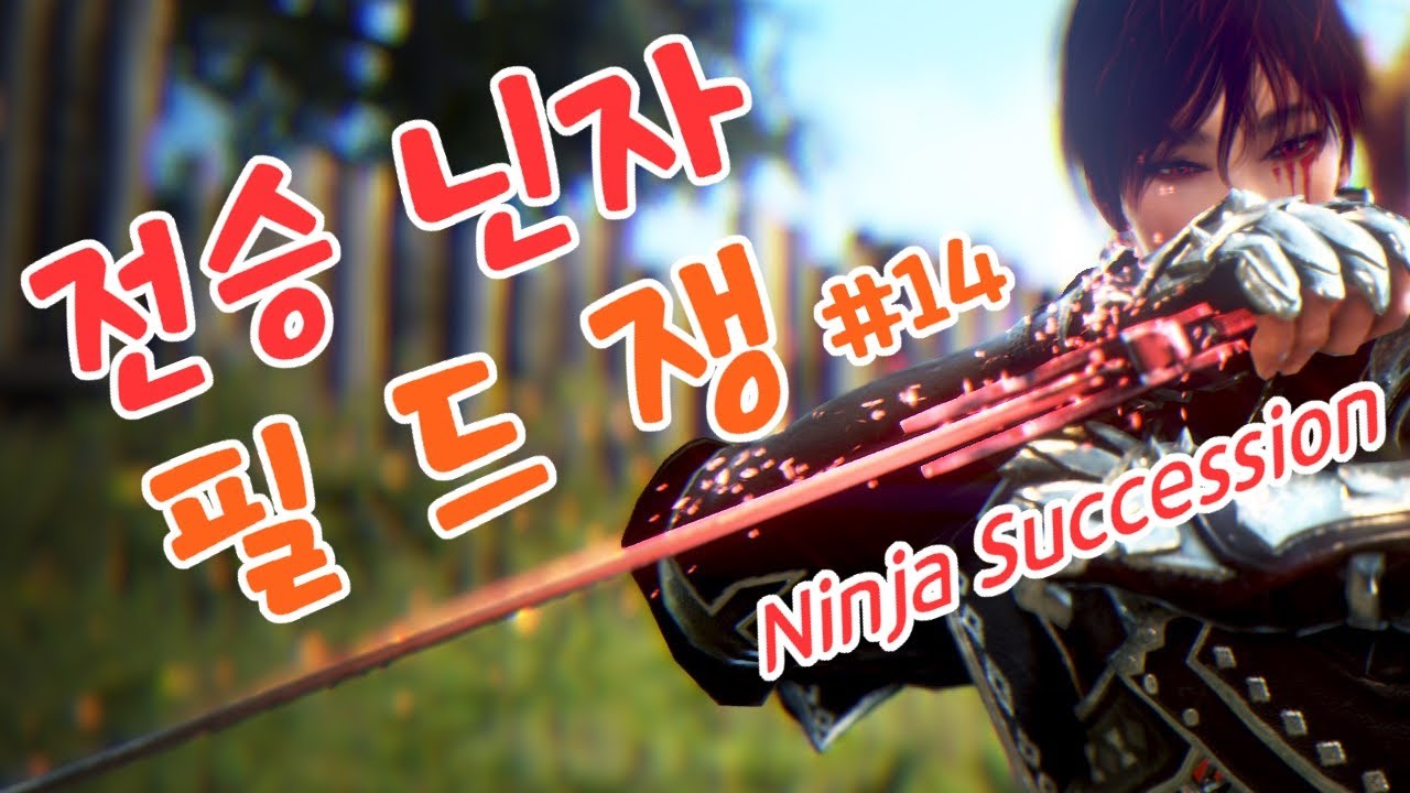 검은사막 전승닌자 PVP 필드쟁#14 딱대 길드 필드쟁 (BDO Field PVP,  Ninja Succession PVP)