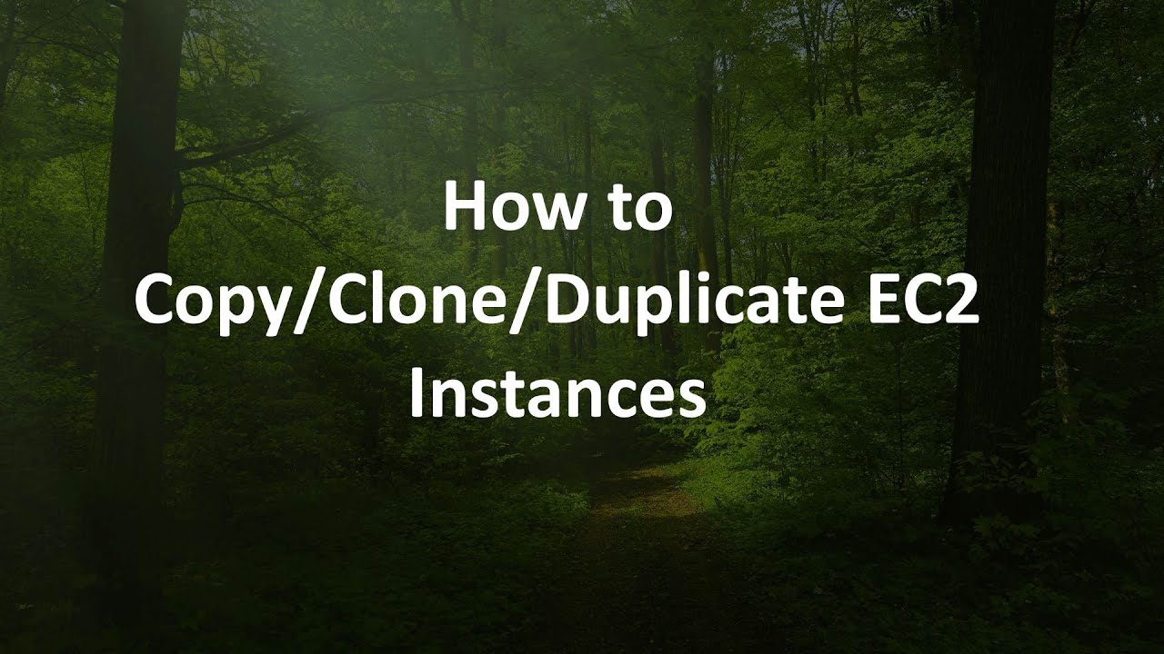 How to Copy/Clone/Duplicate EC2 Instances