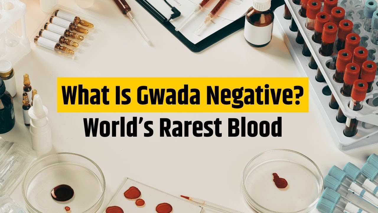 What Is Gwada Negative? | World’s Rarest Blood Type Explained