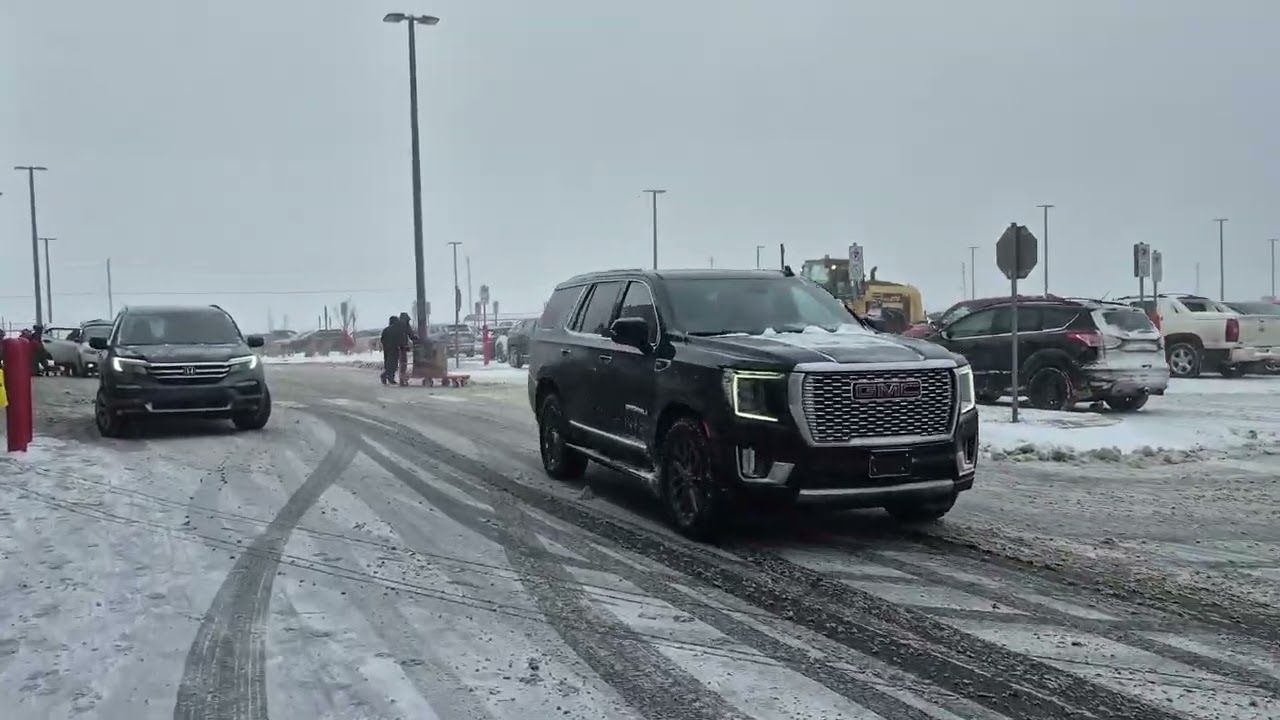 Як виживають на острові Нюфаундленд?