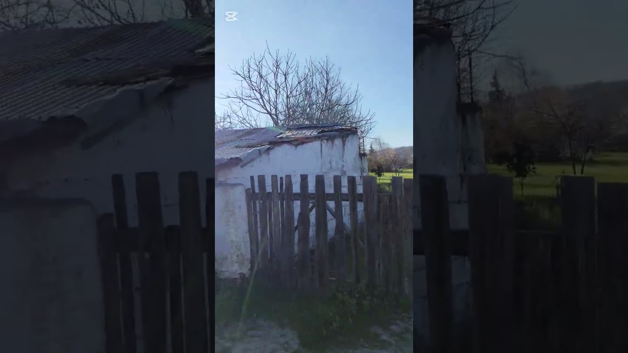 Samsun Bafra Dedeli Köyü (mahallesi)