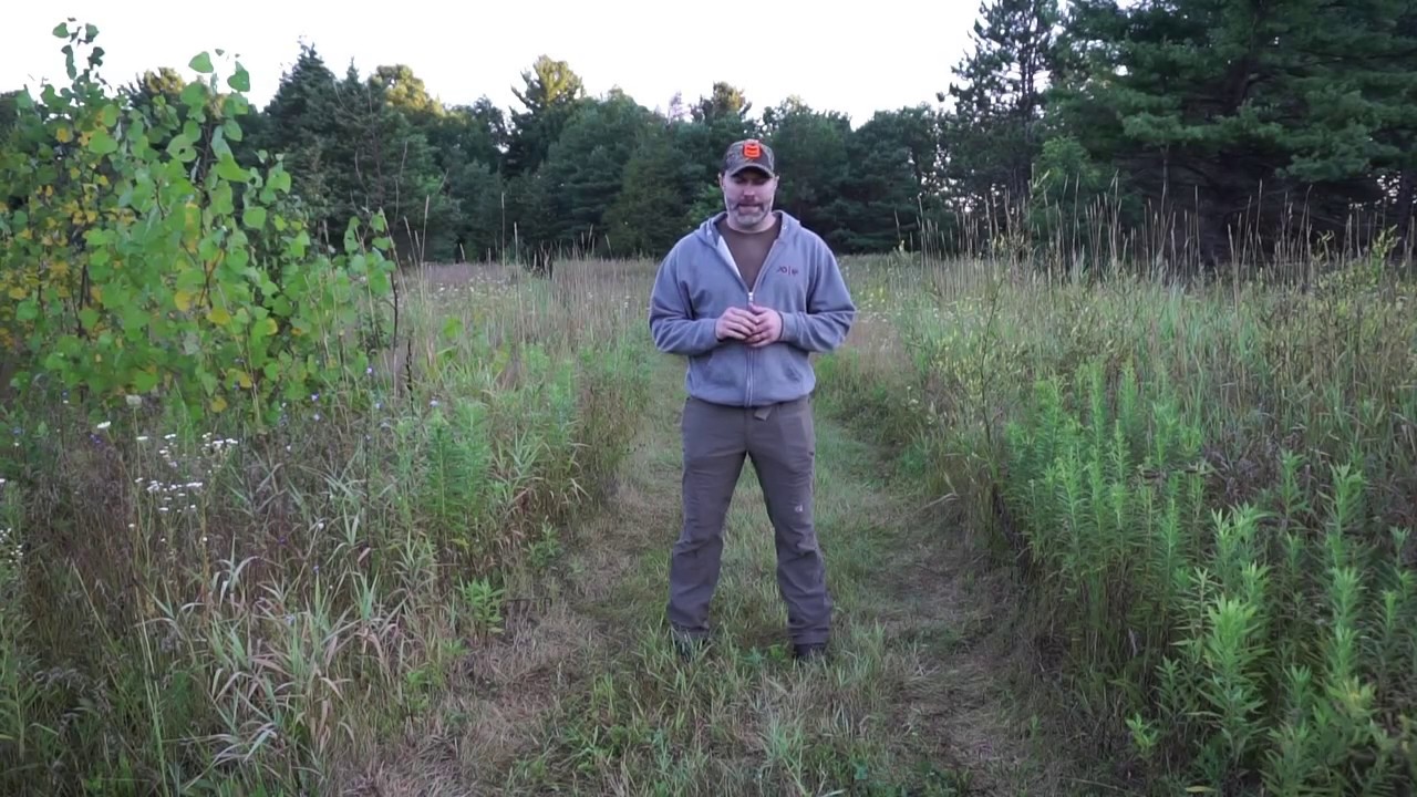 Eddie Bauer First Acent Guide Pro Pant Review