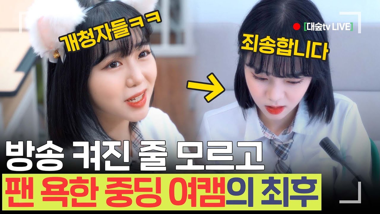 SUB 사이다)하루 800버는 중딩여캠 방종 후 팬 욕한 BJ의 최후 | [루대숲] - 58번째 사연