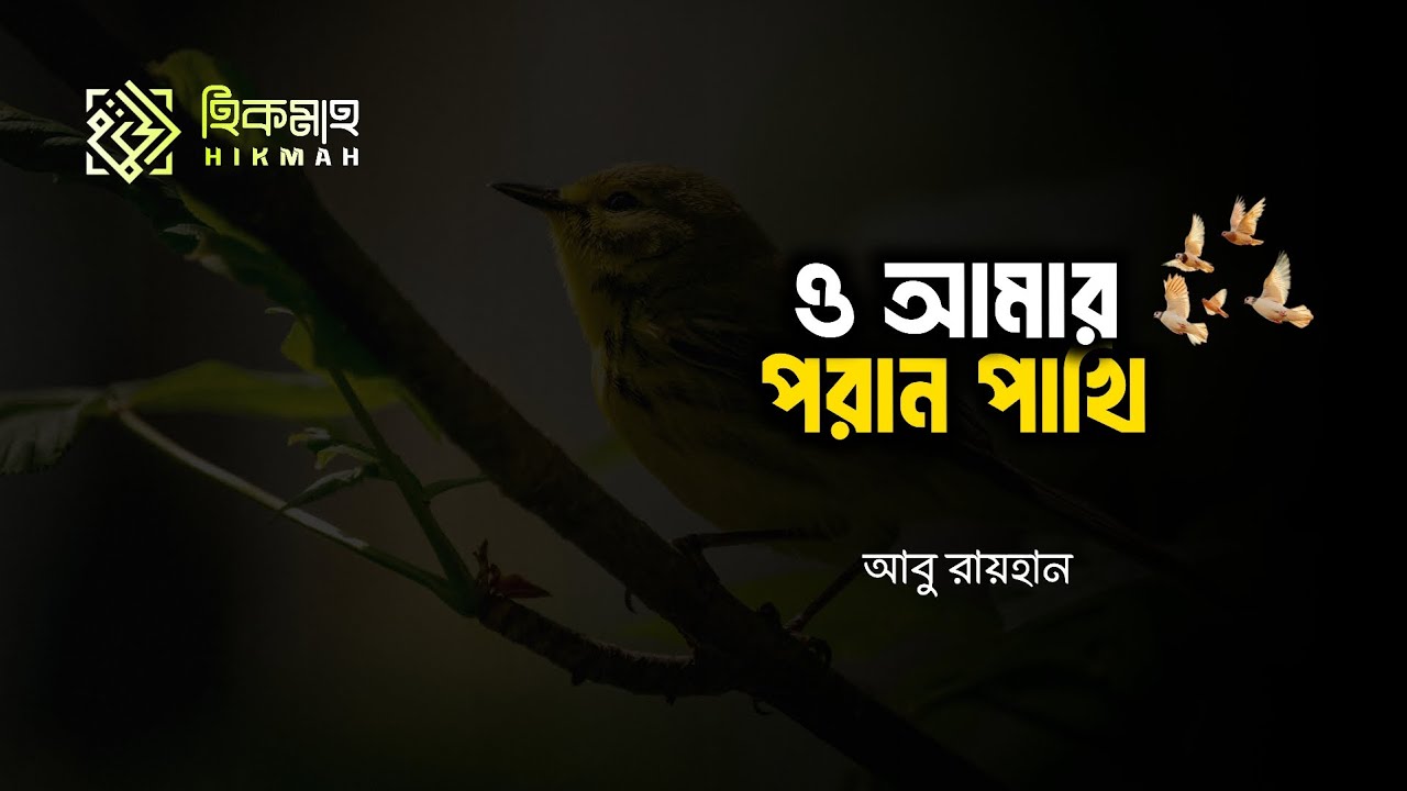 ও আমার পরাণ পাখি | Recited By Abu Rayhan #lofi #nasheed #deen #lyrics #islam