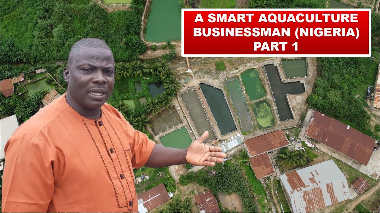 Meet a smart aquaculture businessman in Nigeria - Part 1