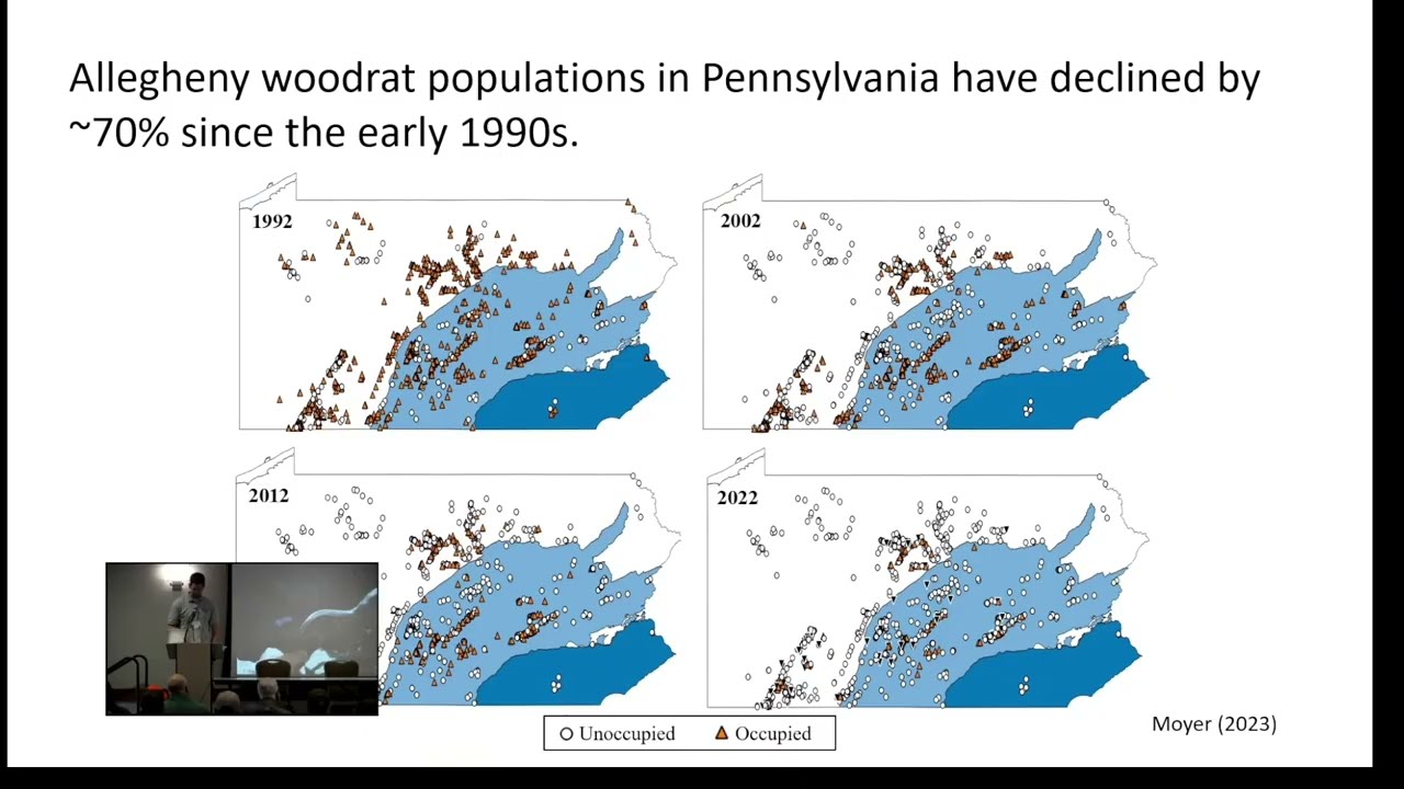 Raccoon Roundworm in Allegheny Woodrat Habitat Chris Hauer