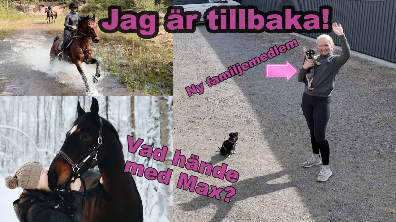JAG ÄR TILLBAKA - stallvlogg