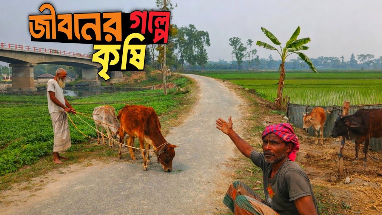 উত্তরবঙ্গের গ্রাম ও গ্রামীণ মানুষের কথা ||ফতেপুর- দুর্গাপুর গ্রাম  Beautiful Village of Bangladesh |